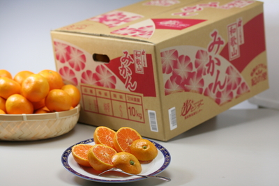 八朔 1袋（3-5玉）送料区分【2】 | めっけもん広場通販サイト